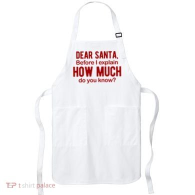 Dear Santa Before I Explain How Much Do You Know Funny Christmas Apron