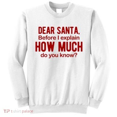 Dear Santa Before I Explain How Much Do You Know Funny Christmas Sweatshirt