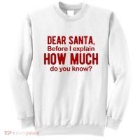 Dear Santa Before I Explain How Much Do You Know Funny Christmas Sweatshirt thumb 0