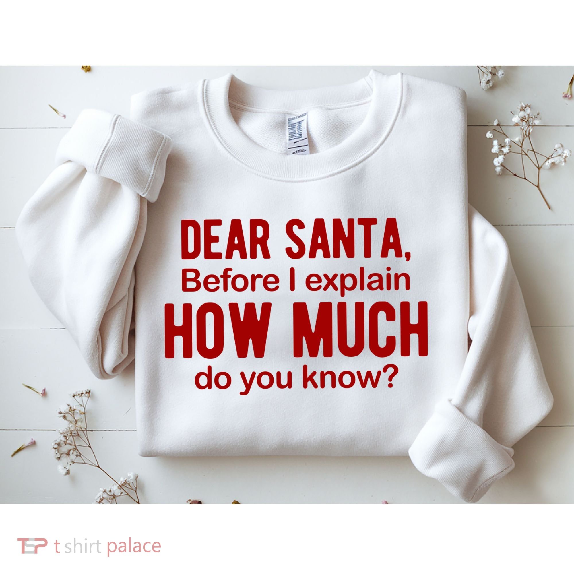 Dear Santa Before I Explain How Much Do You Know Funny Christmas Sweatshirt