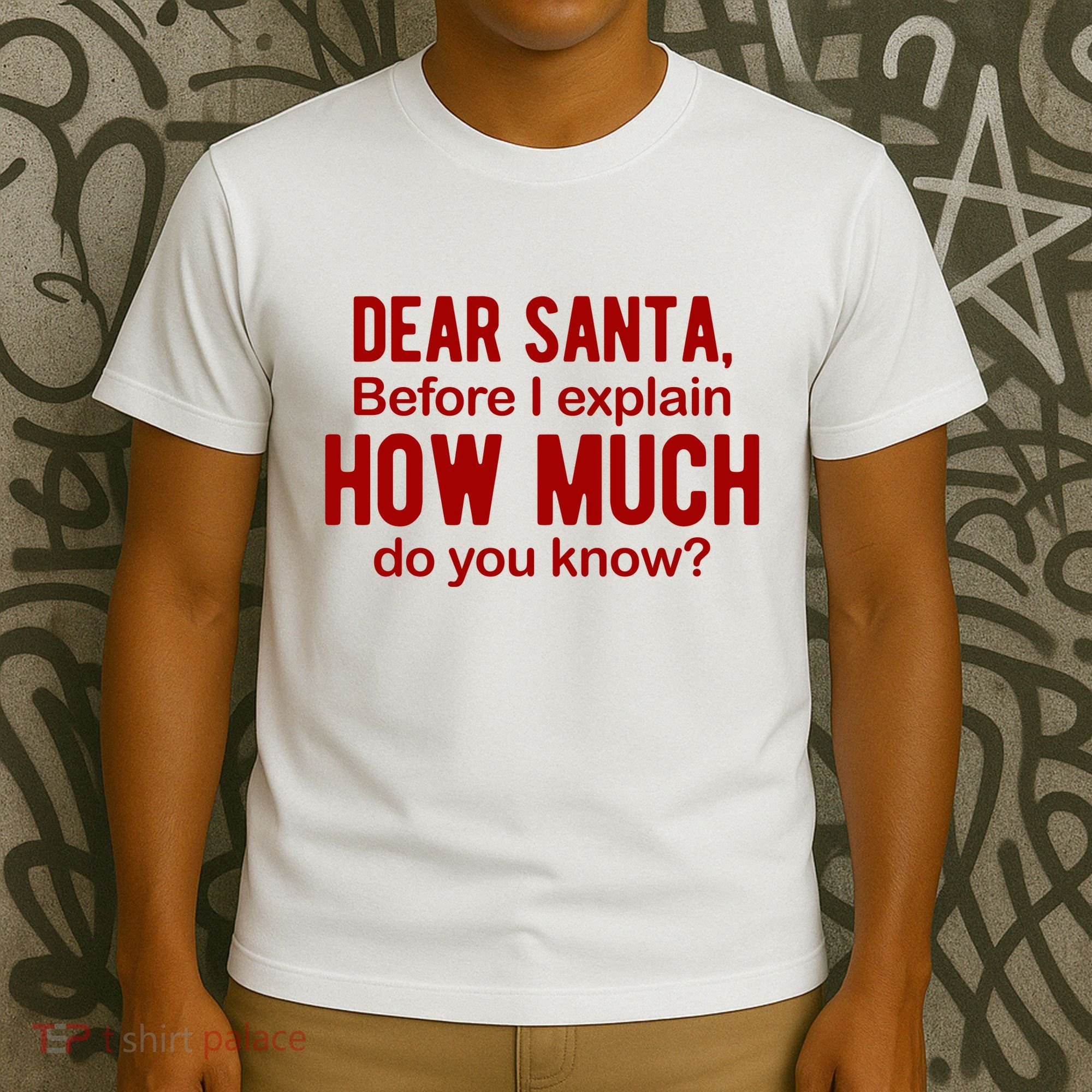 Dear Santa Before I Explain How Much Do You Know Funny Christmas T-Shirt