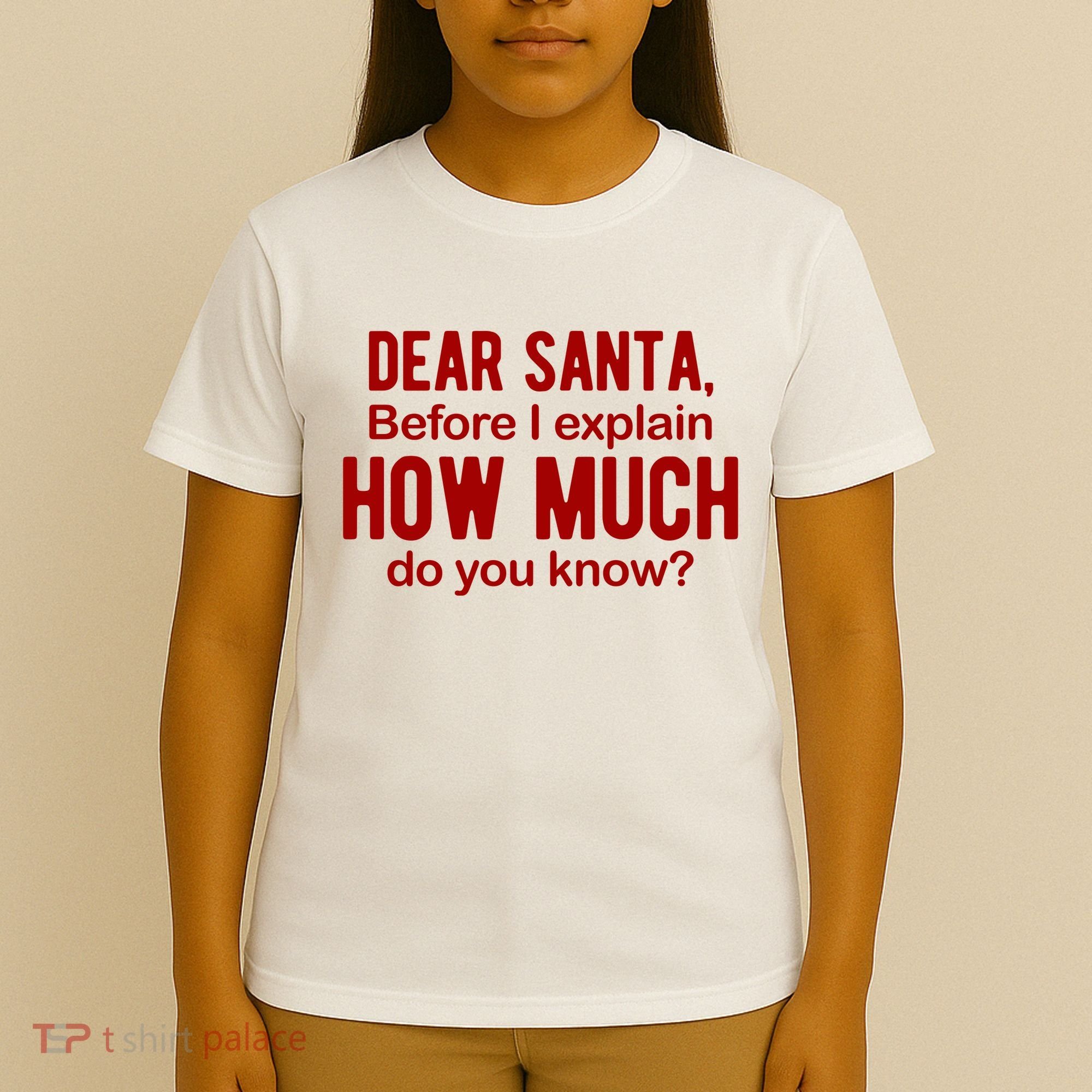 Dear Santa Before I Explain How Much Do You Know Funny Christmas T-Shirt