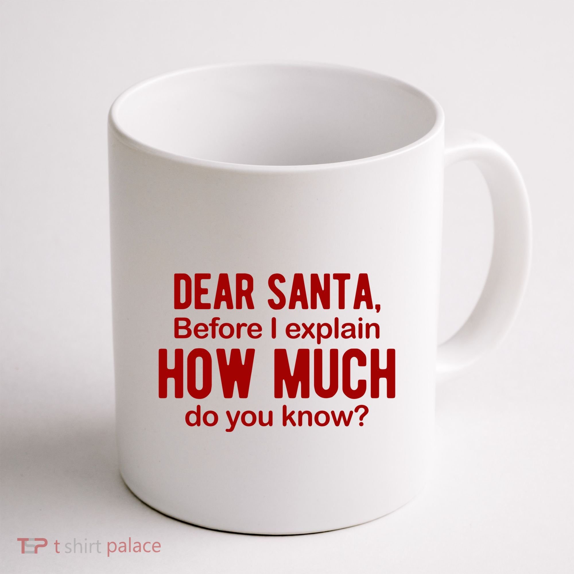Dear Santa Before I Explain How Much Do You Know Funny Christmas Coffee Mug