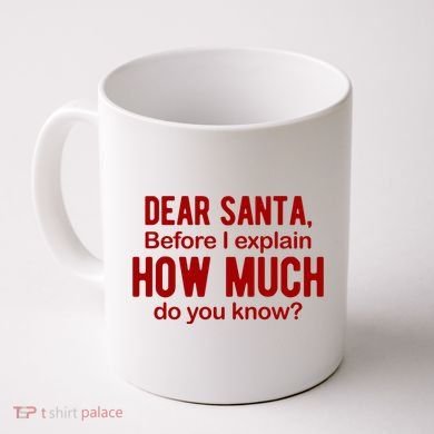 Dear Santa Before I Explain How Much Do You Know Funny Christmas Coffee Mug