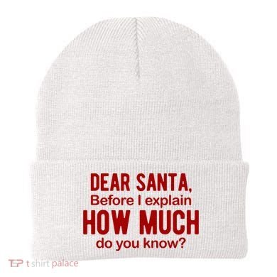 Dear Santa Before I Explain How Much Do You Know Funny Christmas Beanie