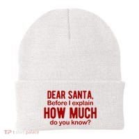 Dear Santa Before I Explain How Much Do You Know Funny Christmas Beanie thumb 0