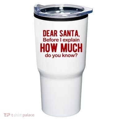 Dear Santa Before I Explain How Much Do You Know Funny Christmas Tumbler