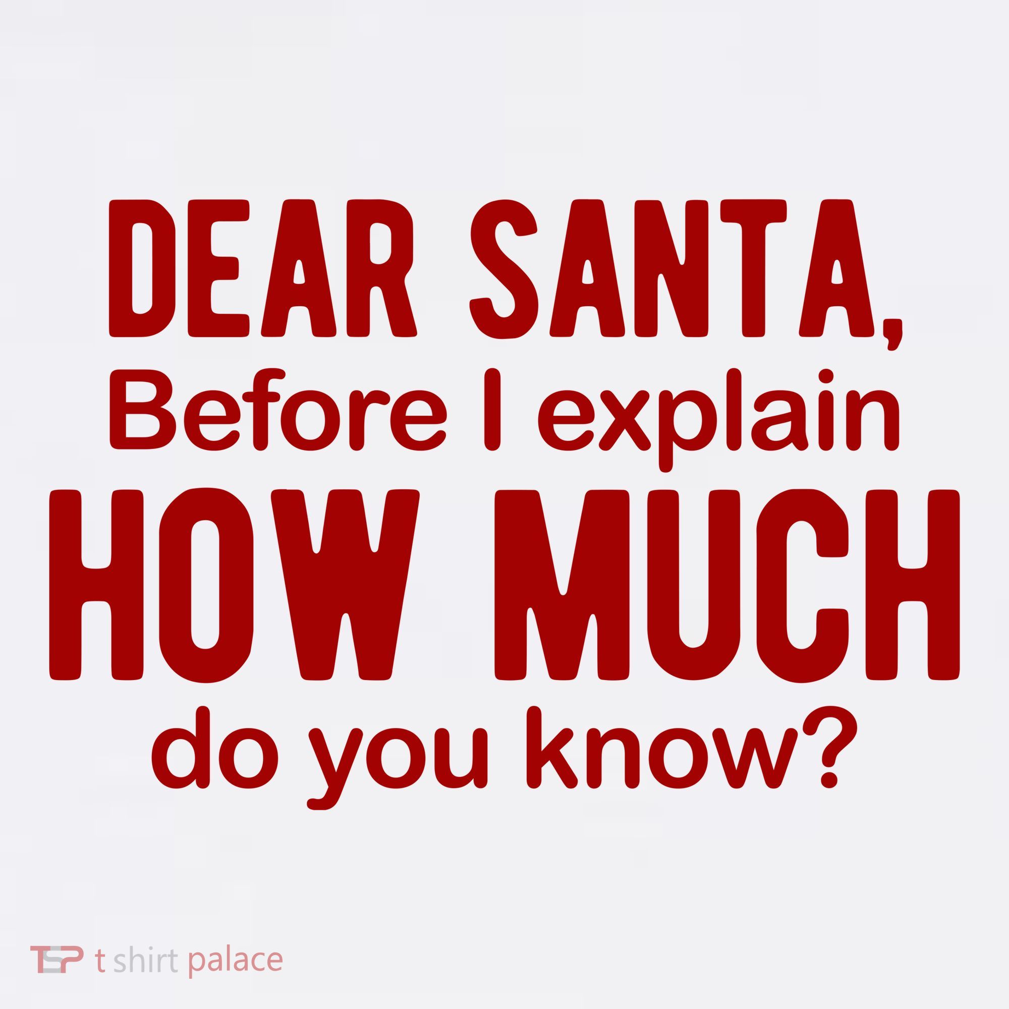 Dear Santa Before I Explain How Much Do You Know Funny Christmas Women's Tank Top