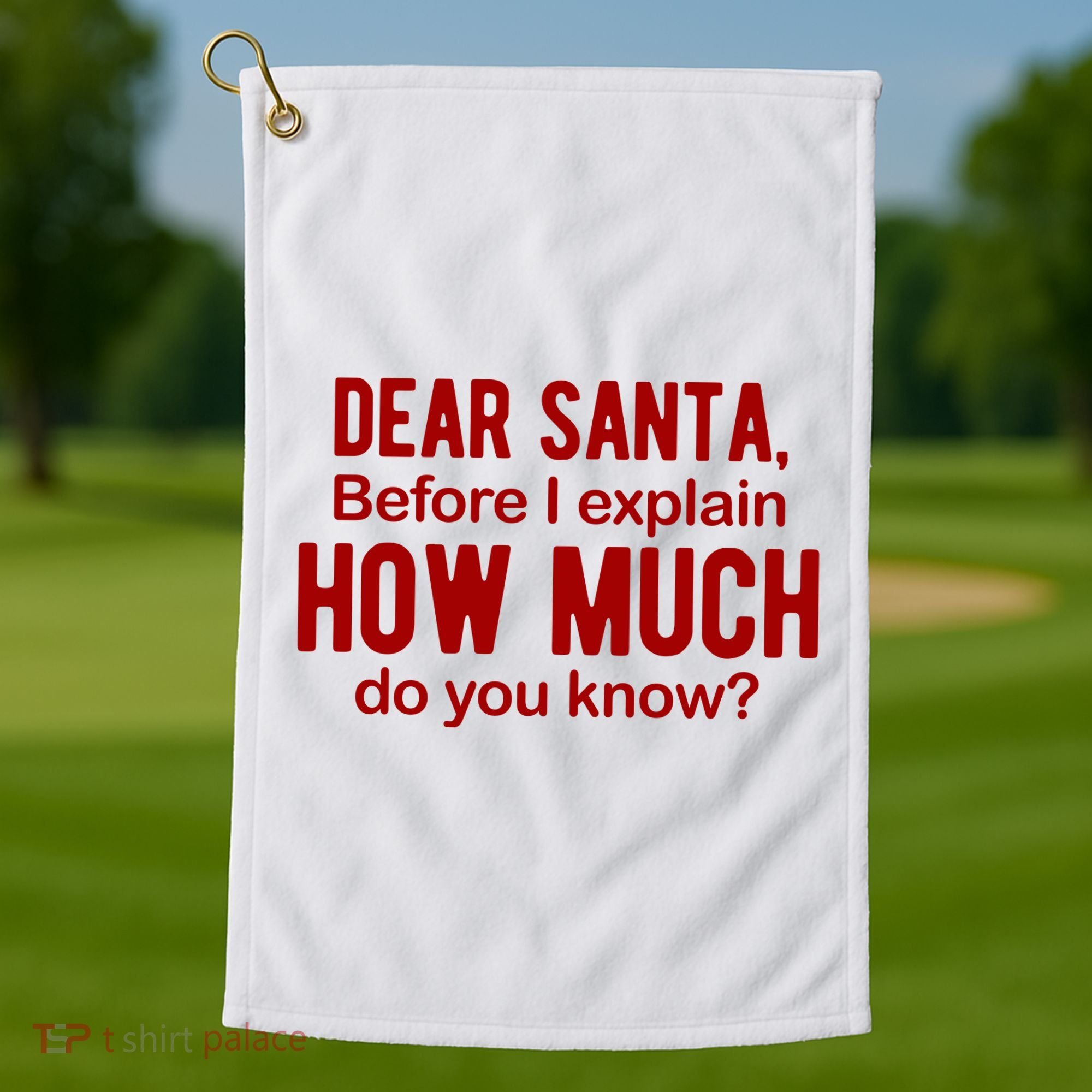 Dear Santa Before I Explain How Much Do You Know Funny Christmas Golf Towel
