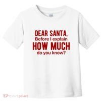 Dear Santa Before I Explain How Much Do You Know Funny Christmas Toddler T-Shirt thumb 0