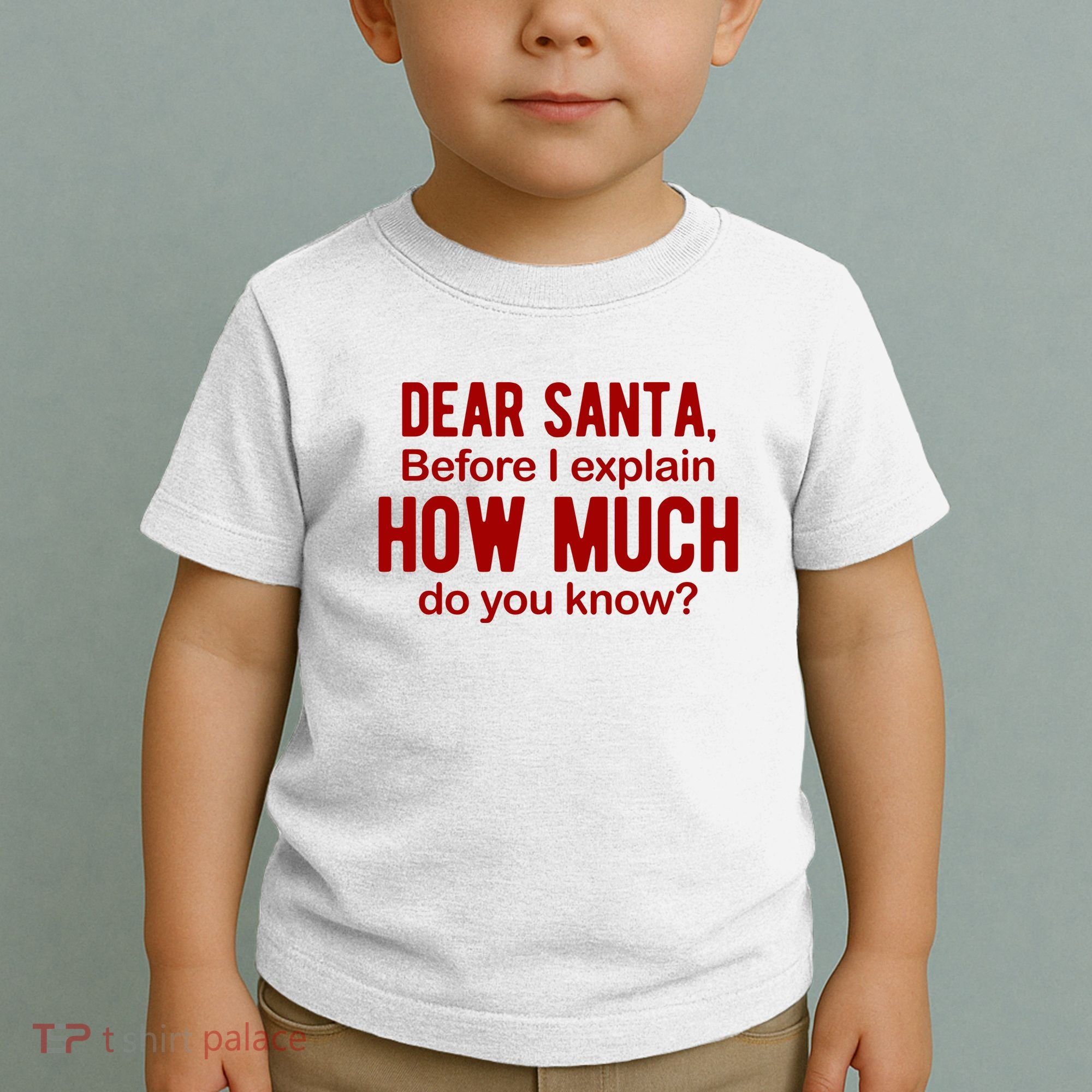 Dear Santa Before I Explain How Much Do You Know Funny Christmas Toddler T-Shirt