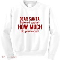 Dear Santa Before I Explain How Much Do You Know Funny Christmas Kids Sweatshirt thumb 0