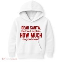 Dear Santa Before I Explain How Much Do You Know Funny Christmas Kids Hoodie thumb 0