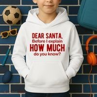 Dear Santa Before I Explain How Much Do You Know Funny Christmas Kids Hoodie thumb 2