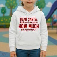 Dear Santa Before I Explain How Much Do You Know Funny Christmas Kids Hoodie thumb 3