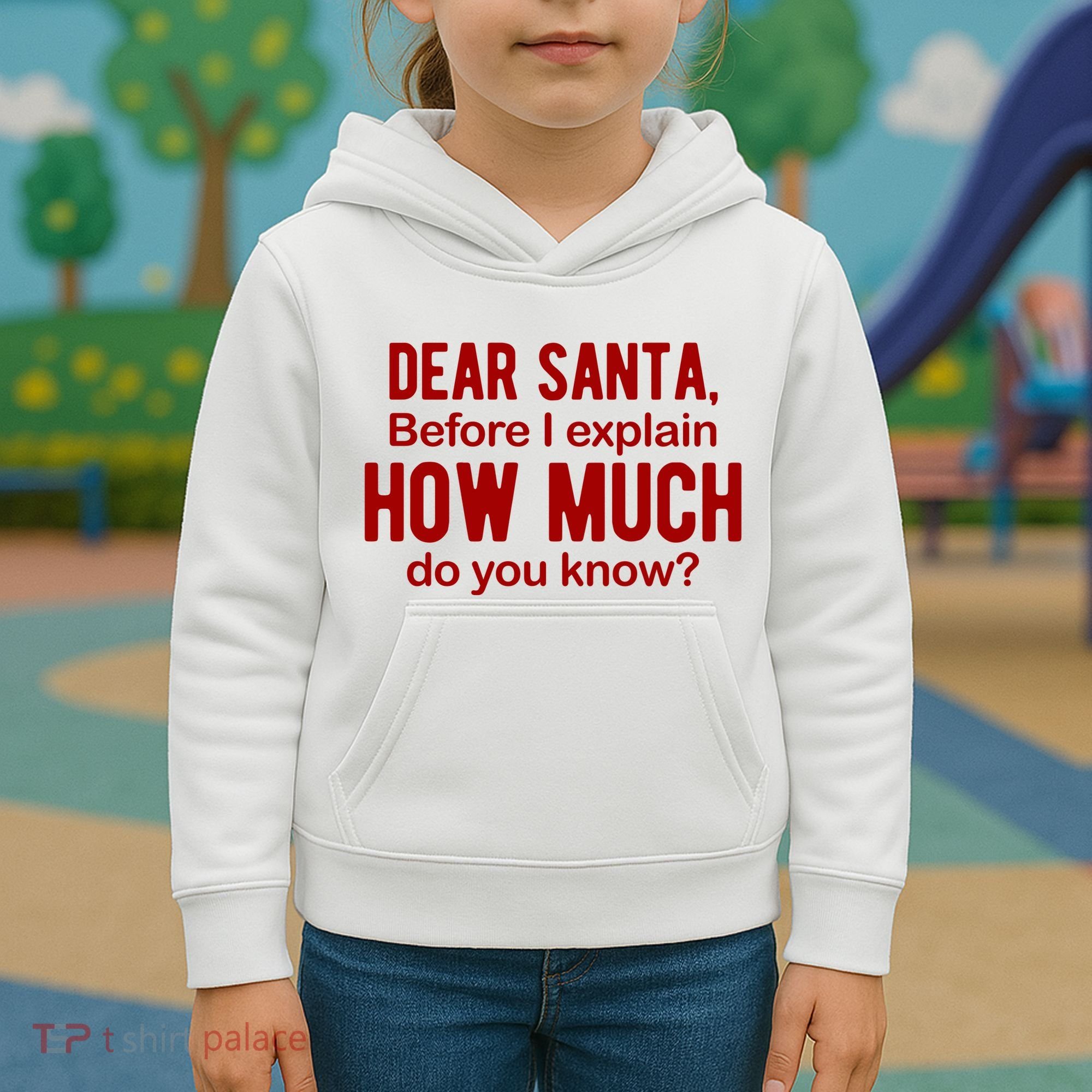 Dear Santa Before I Explain How Much Do You Know Funny Christmas Kids Hoodie
