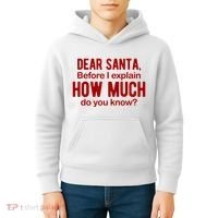 Dear Santa Before I Explain How Much Do You Know Funny Christmas Kids Hoodie thumb 4