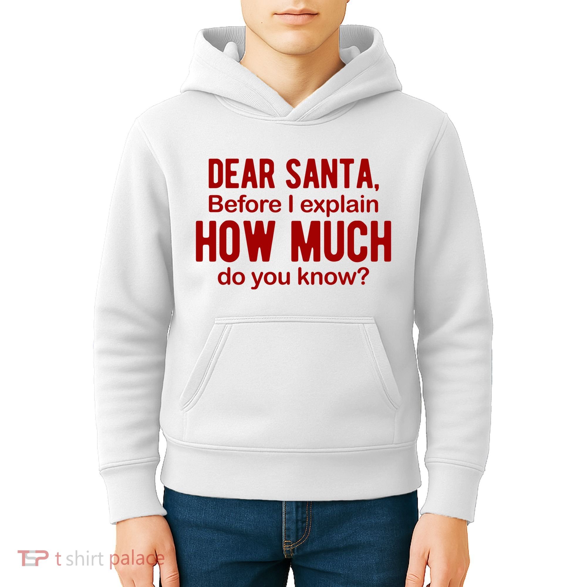 Dear Santa Before I Explain How Much Do You Know Funny Christmas Kids Hoodie