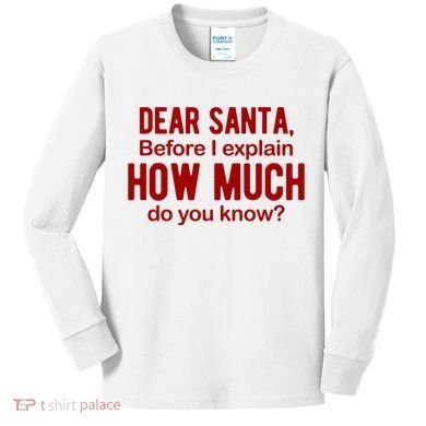 Dear Santa Before I Explain How Much Do You Know Funny Christmas Kids Long Sleeve Shirt