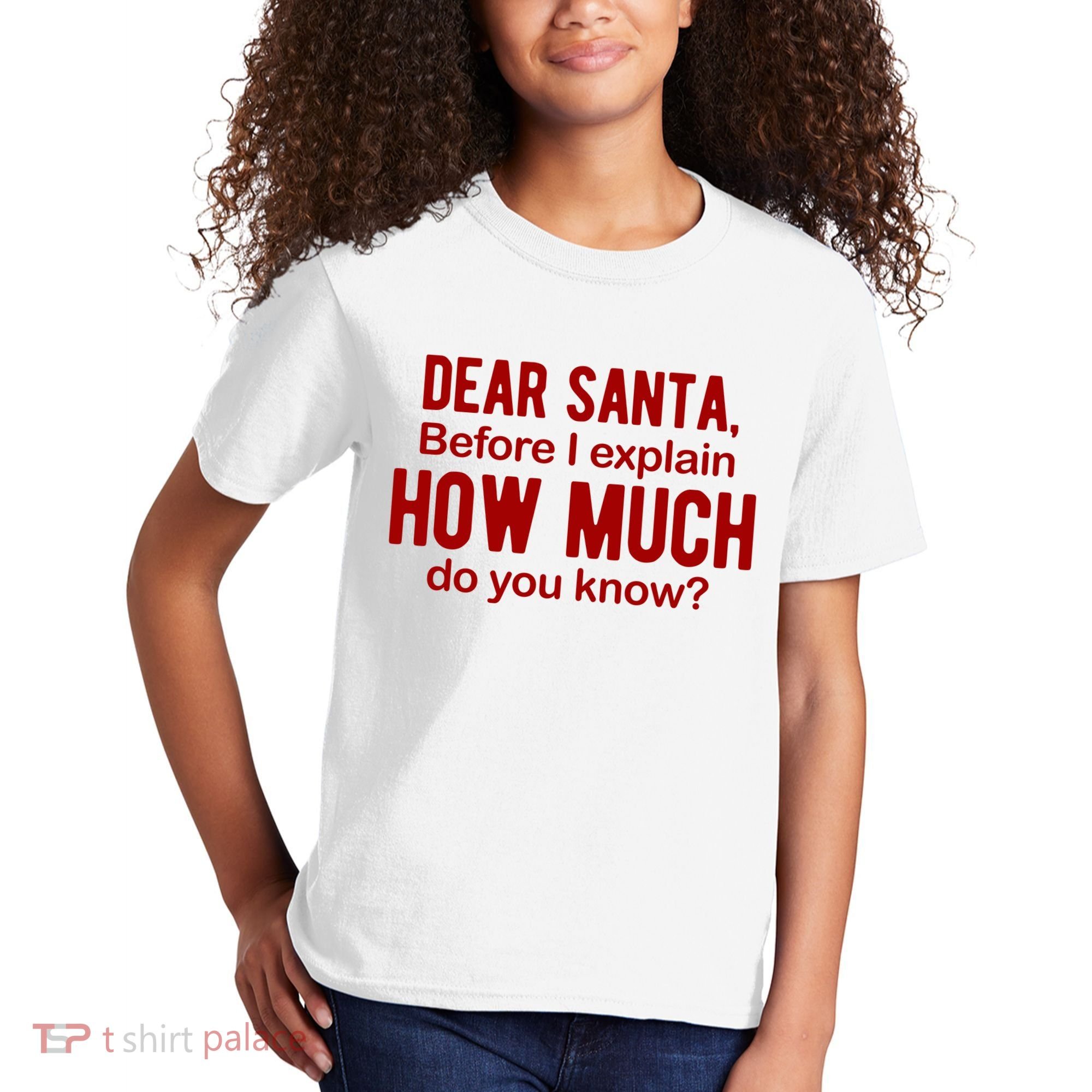 Dear Santa Before I Explain How Much Do You Know Funny Christmas Kids T-Shirt