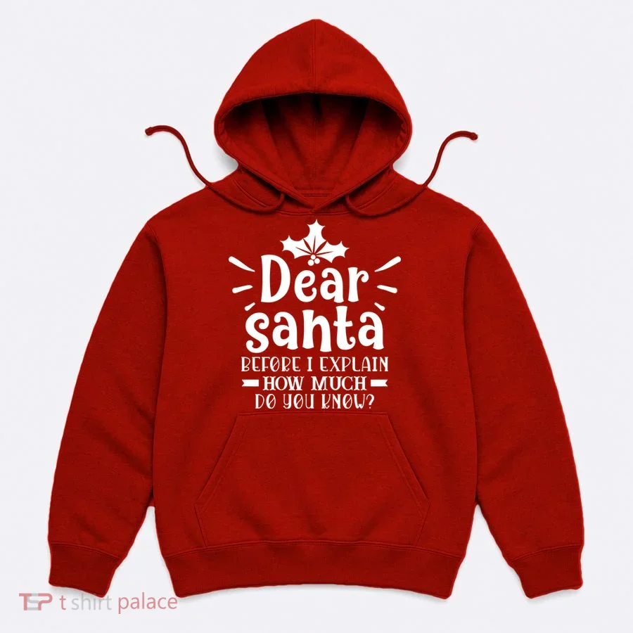 Dear Santa Before I Explain Hoodie