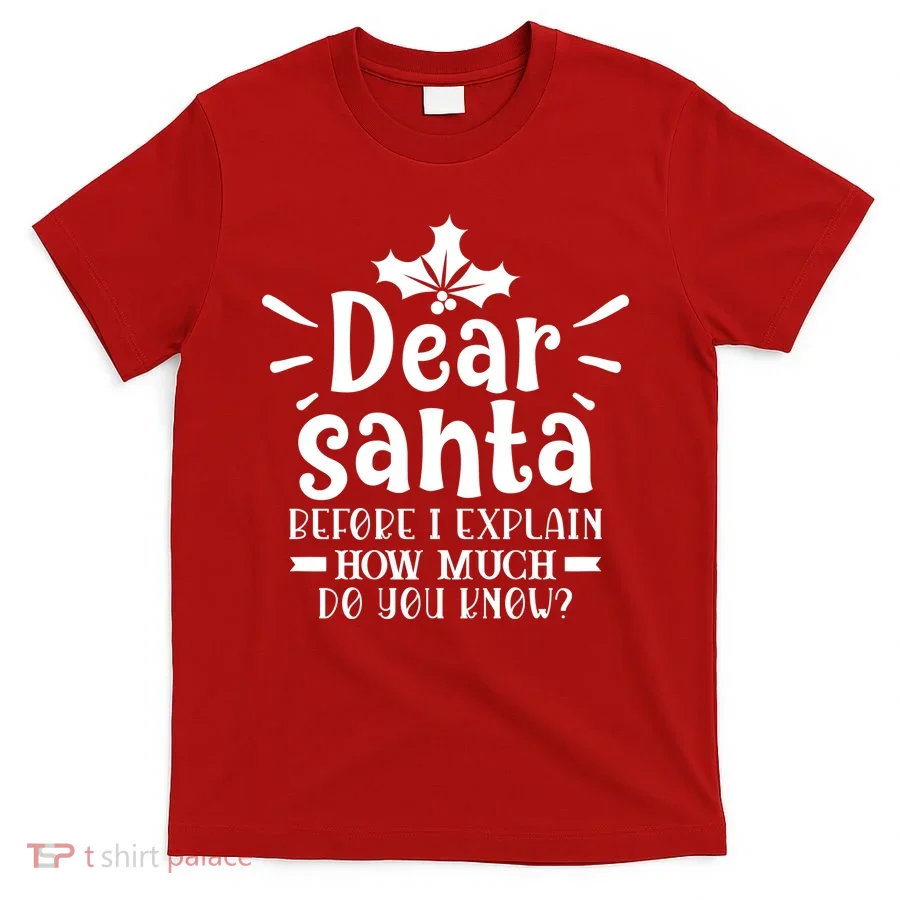 Dear Santa Before I Explain T-Shirt