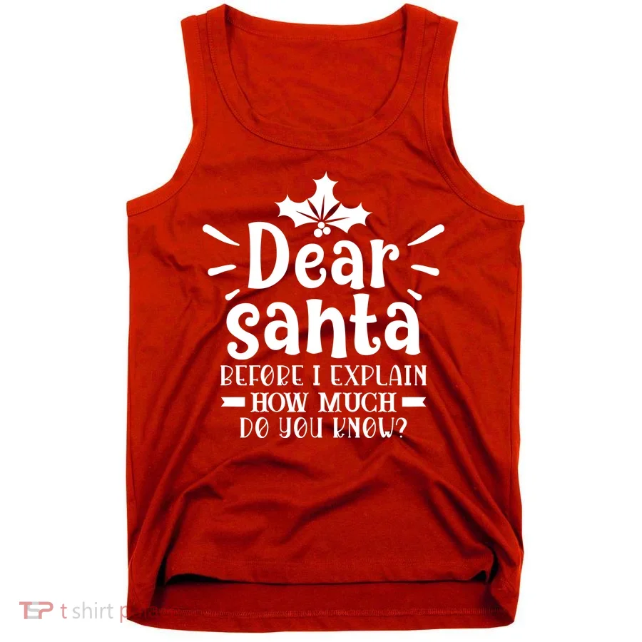 Dear Santa Before I Explain Tank Top