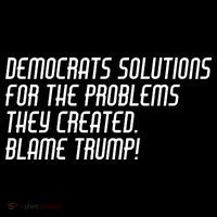 Democrat Solutions Blame Trump Bucket Hat thumb 4