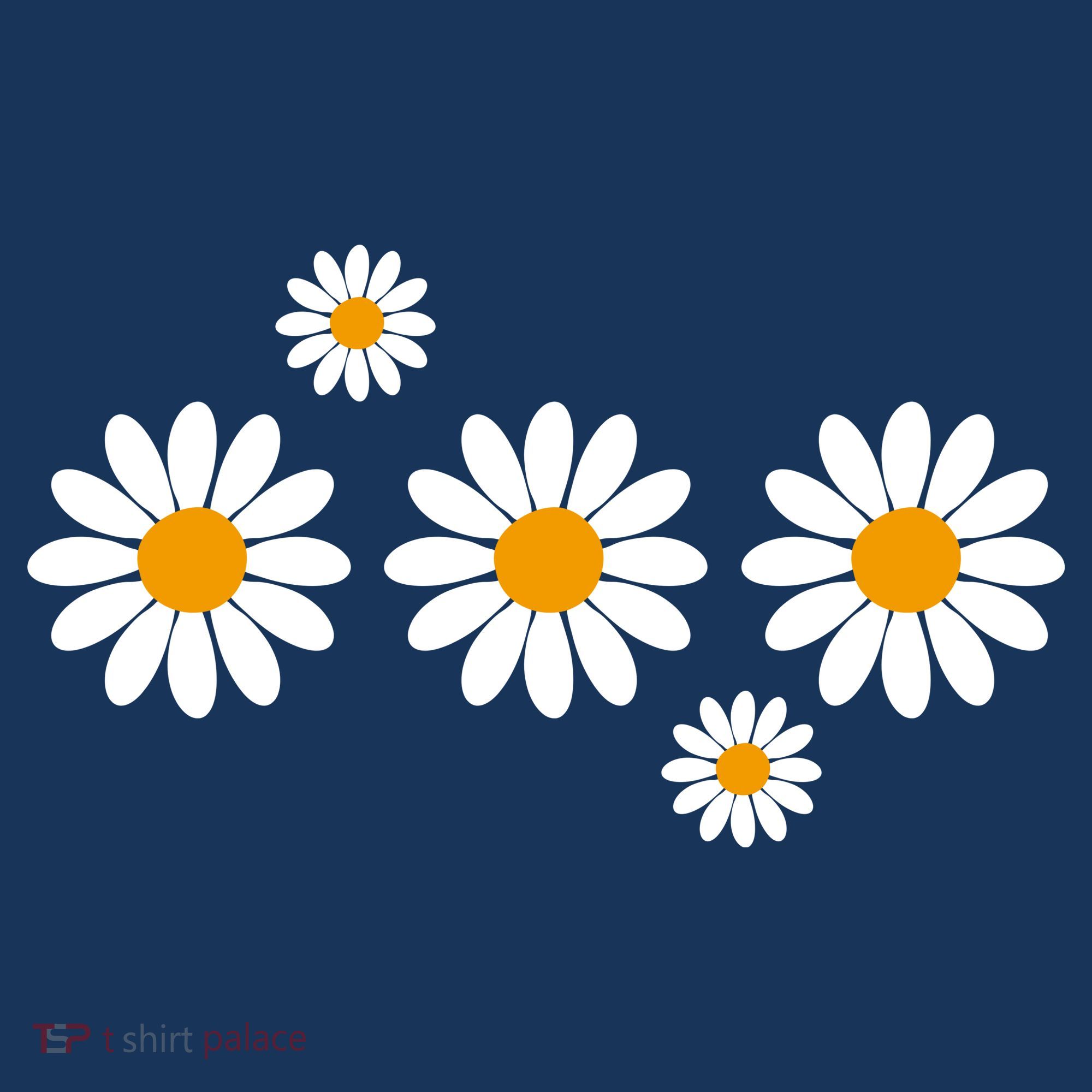 Daisy Spring Cute Floral Women's T-Shirt