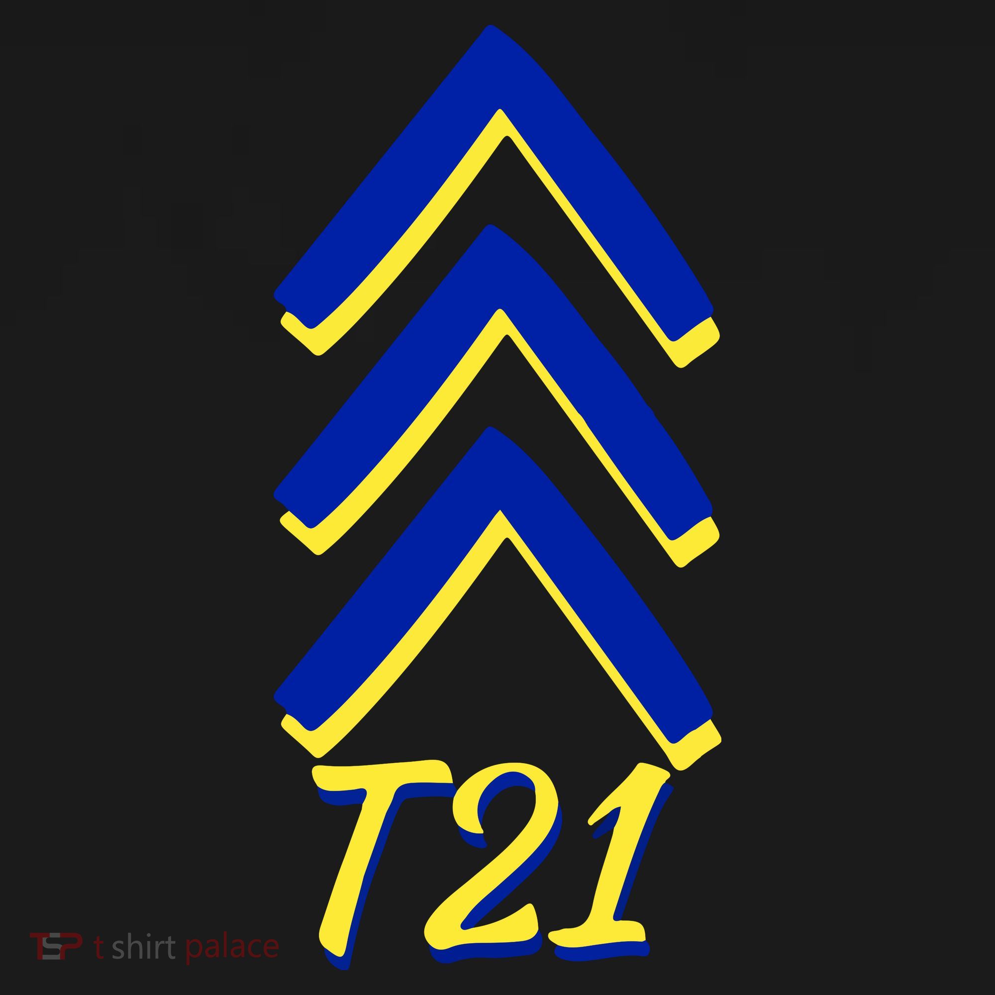 Down Syndrome Chevron Arrow For Trisomy 21 T21 For Down Syndrome Awareness Gift Apron