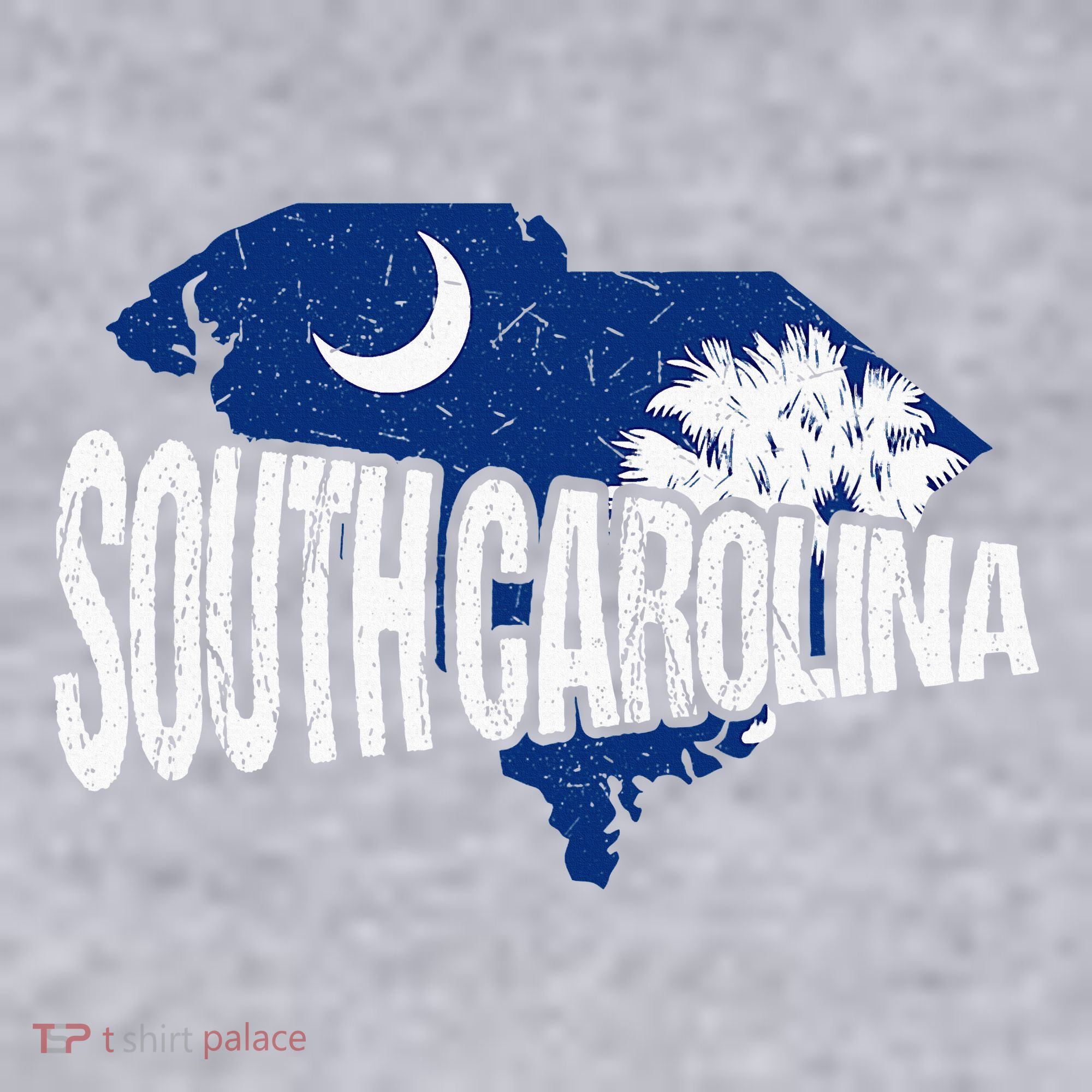 Distressed South Carolina Women's Sweatshirt