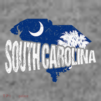 Distressed South Carolina Toddler Hoodie thumb 2