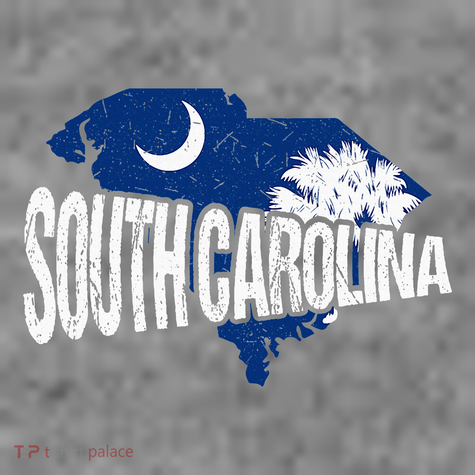 Distressed South Carolina Toddler Hoodie