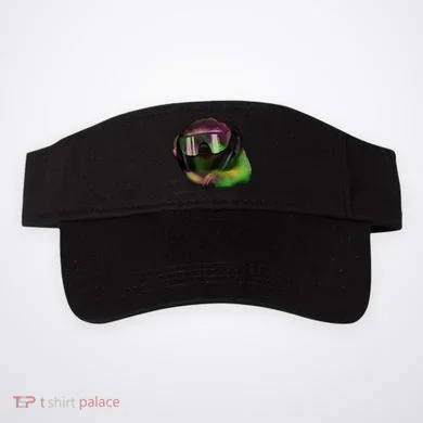 Visor