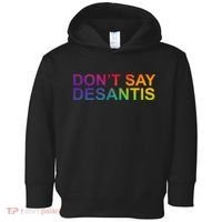 Dont Say Desantis Florida LGBTQ Rainbow Toddler Hoodie thumb 0