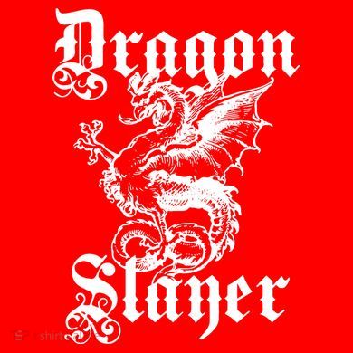 Dragon Slayer Women's Long Sleeve Flannel Pajama Set 