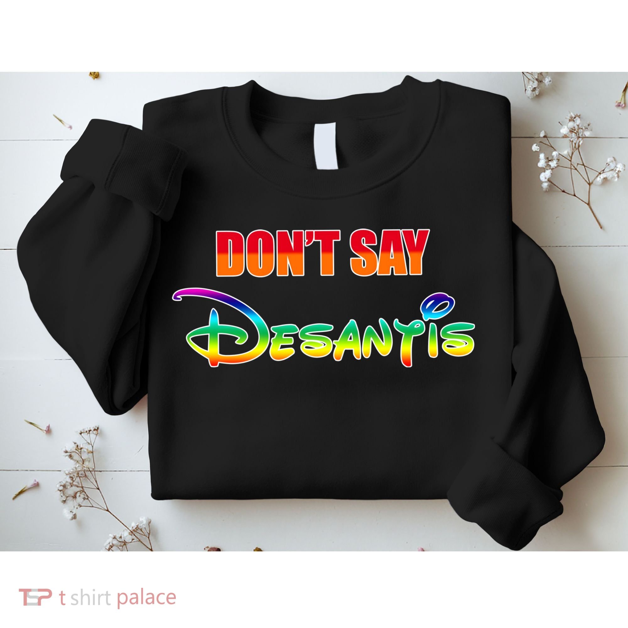 Dont Say Desantis Anti Florida Sweatshirt