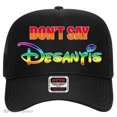 Dont Say Desantis Anti Florida Hat