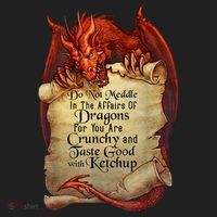 Dragon Shirt Do Not Meddle In The Affairs Of Dragons Gift Hat thumb 2