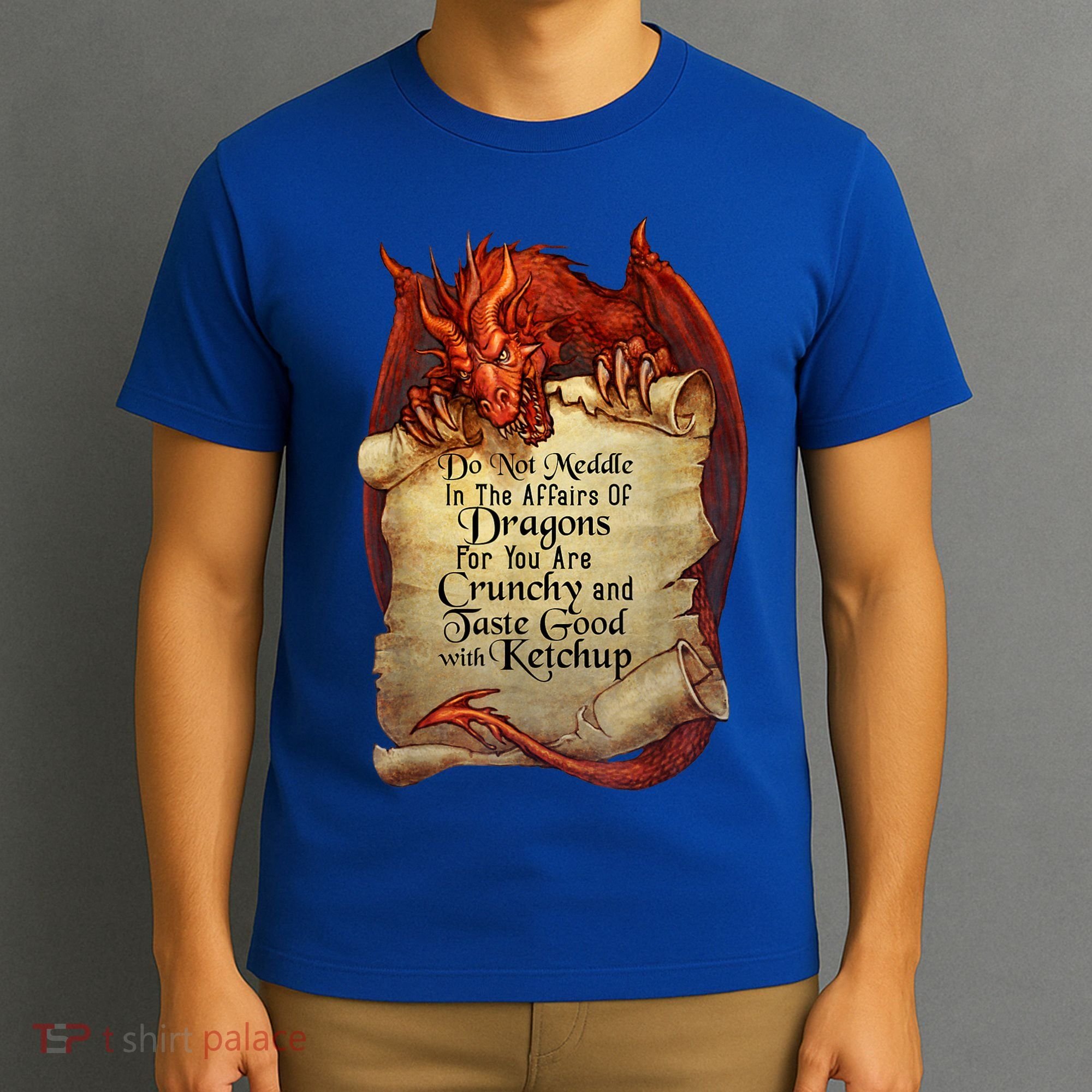 Dragon Shirt Do Not Meddle In The Affairs Of Dragons Gift T-Shirt