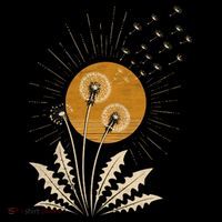 Dandelion Sun T-Shirt thumb 7