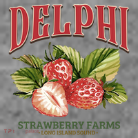 Delphi Strawberry Farms Toddler Hoodie thumb 2