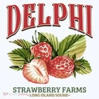 Delphi Strawberry Farms Bucket Hat thumb 4