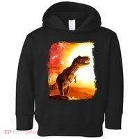 Desert Sun Galaxy Trex Dinosaur Toddler Hoodie thumb 0