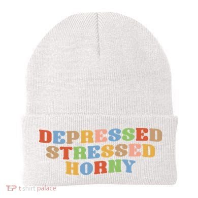 Depressed Stressed Horny Beanie