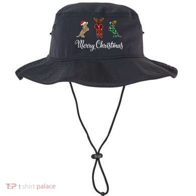 Dachshund Santa Hat Reindeer Christmas Leopard Buffalo Plaid Gift Bucket Hat