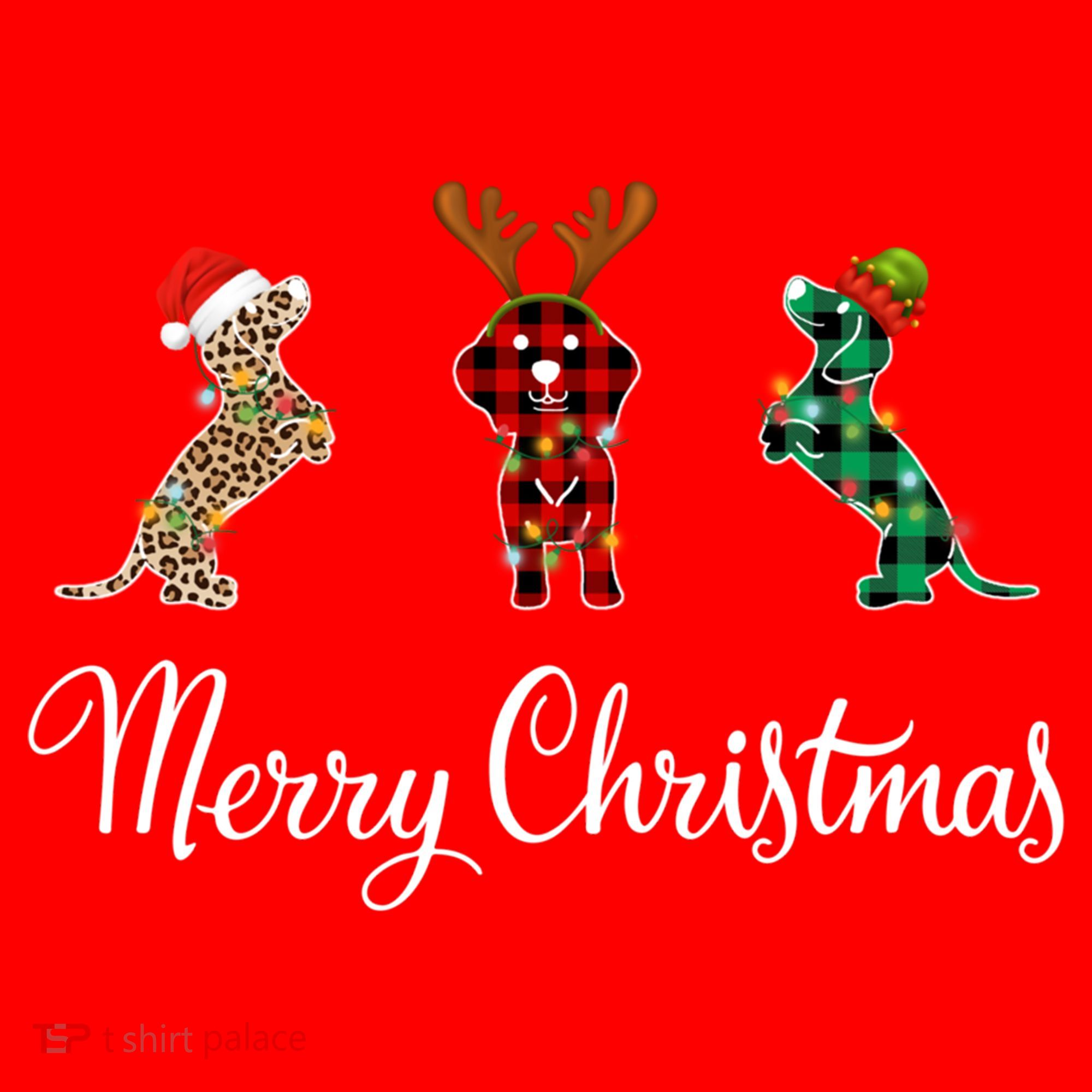 Dachshund Santa Hat Reindeer Christmas Leopard Buffalo Plaid Gift Santa Hat