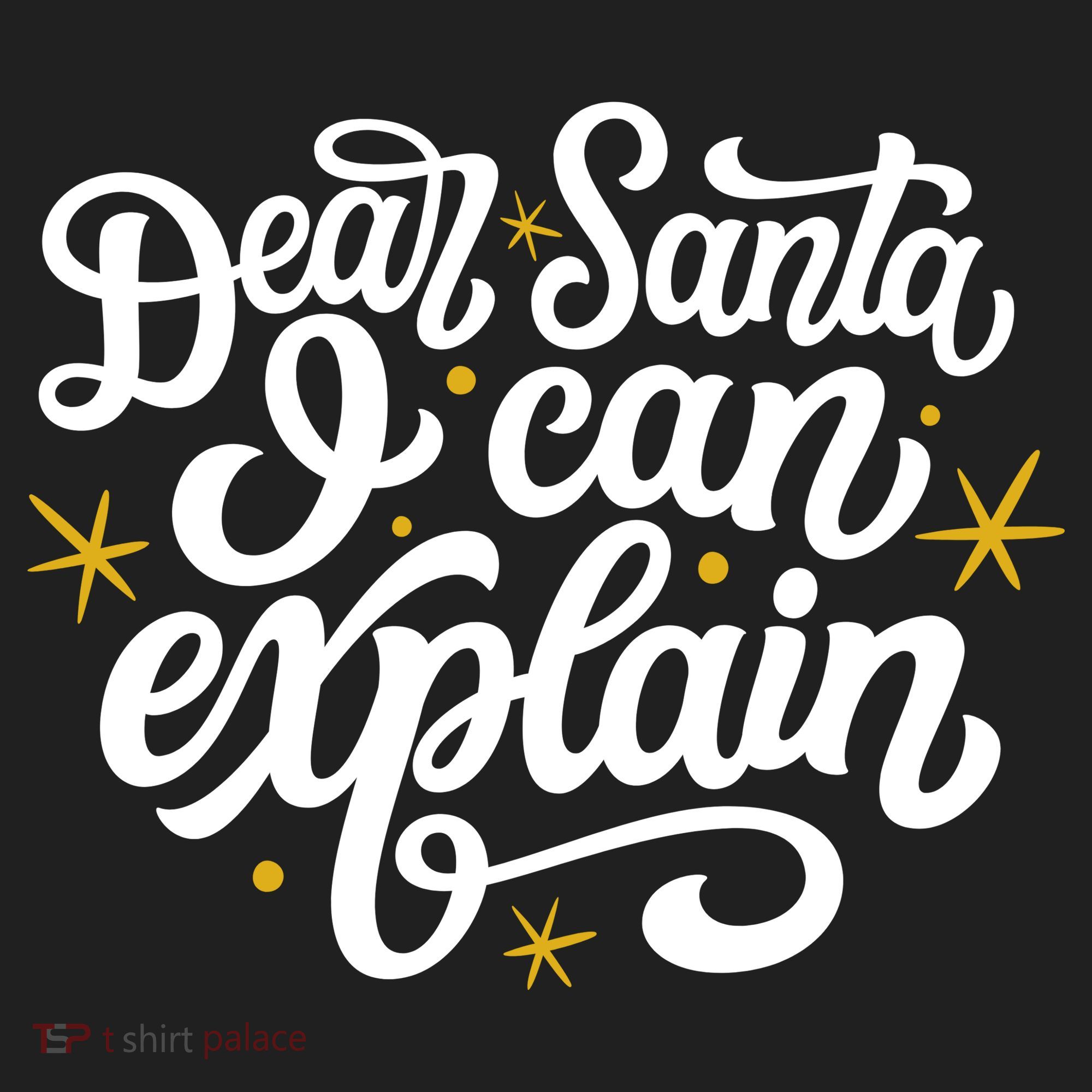 Dear Santa I Can Explain Christmas Holiday Funny Women's Sweatshirt