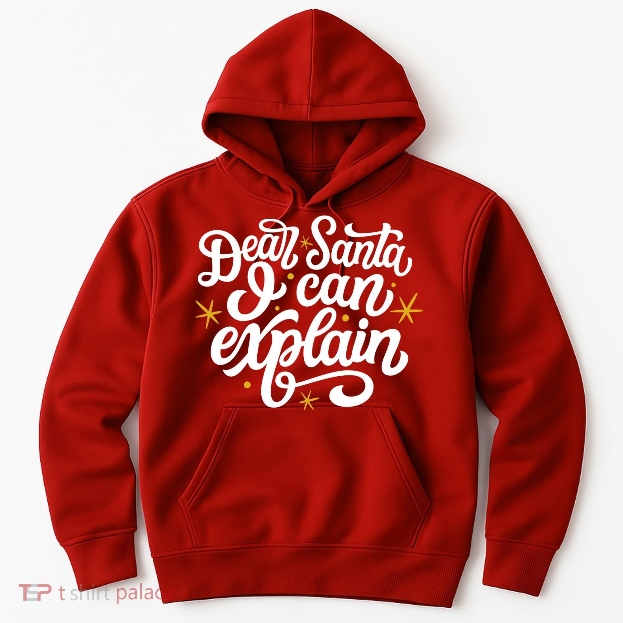 Dear Santa I Can Explain Christmas Holiday Funny Hoodie