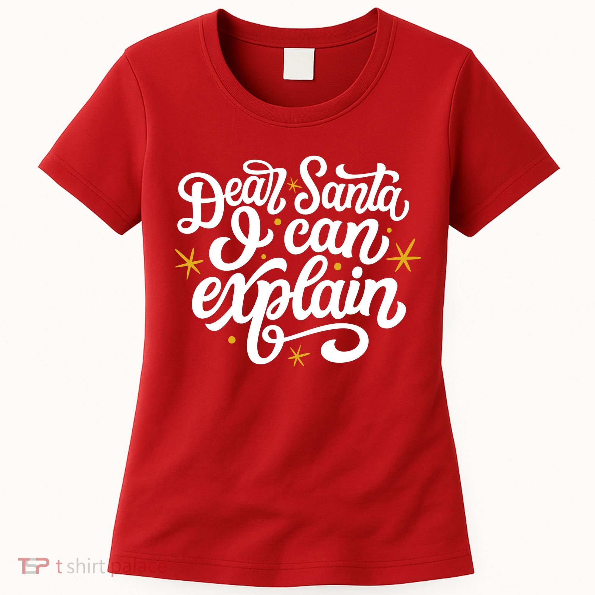 Dear Santa I Can Explain Christmas Holiday Funny Women's T-Shirt